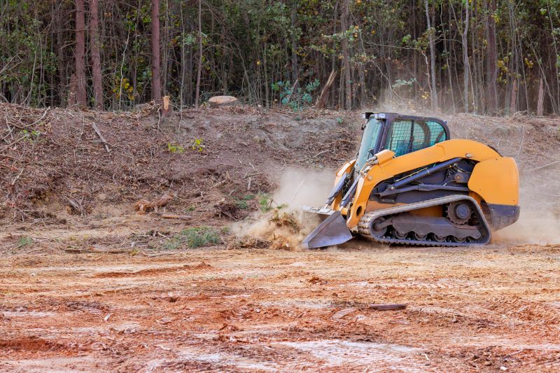 Whatâ€™s Involved In Professional Land Clearing?